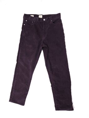J. Crew Eggplant Purple Classic Straight Fit Corduroy Pants 30x30
